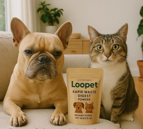 Team Loopet